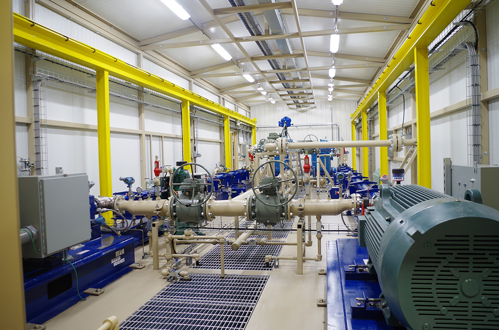 Engineered packaged pumping system